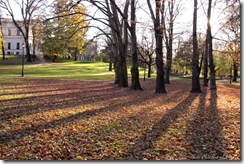 autumnshadows