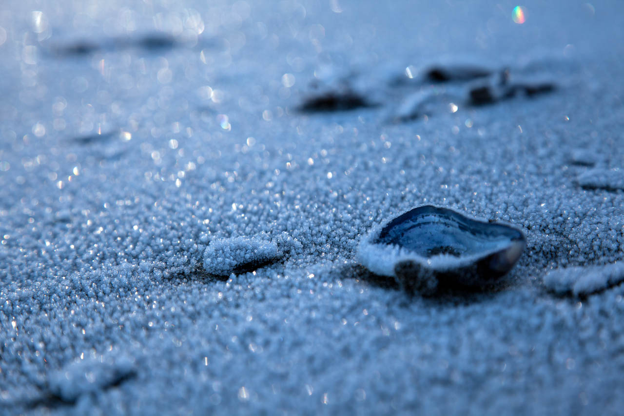 Frozen beach