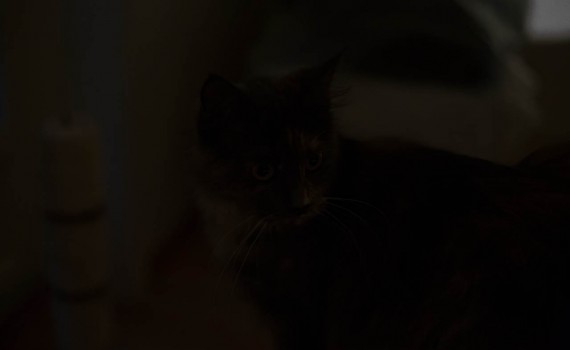 Simulated darkness – ISO 102.400