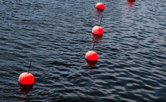 Red dots