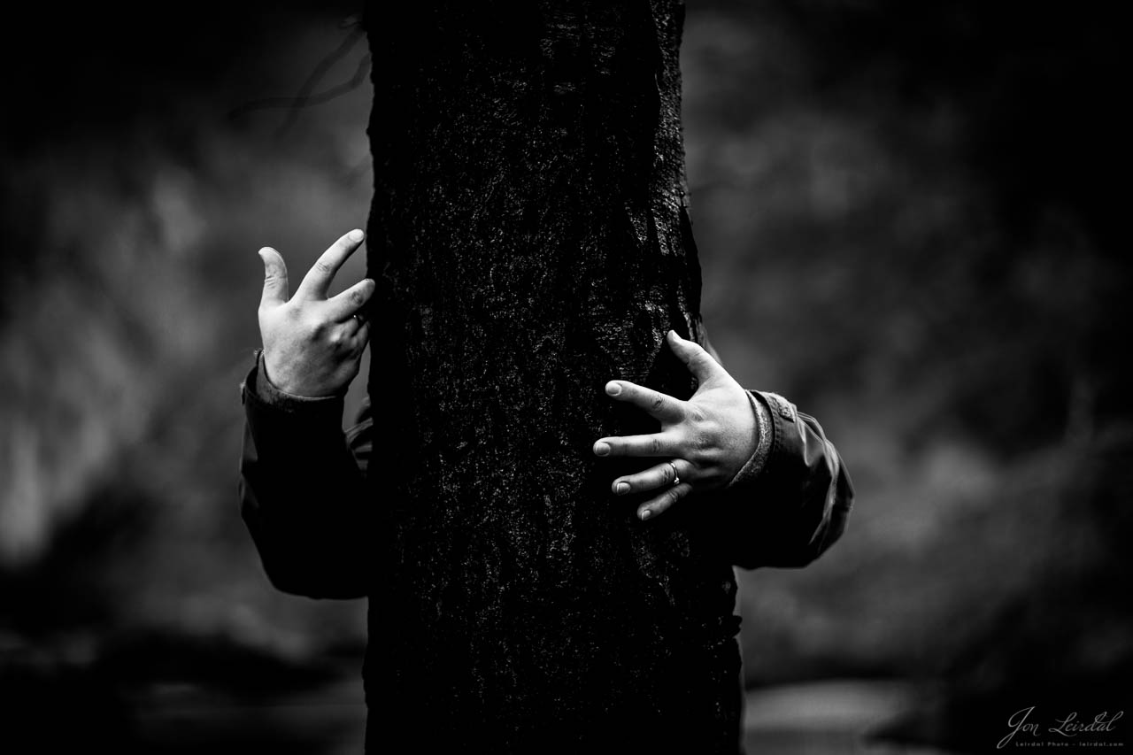 Black wood