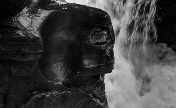 Rocking face